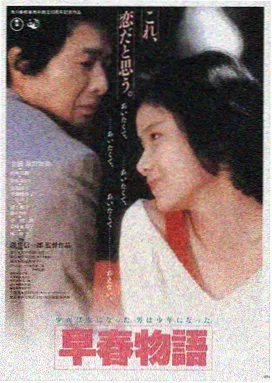 手机影视悬疑剧雾港夜航封面